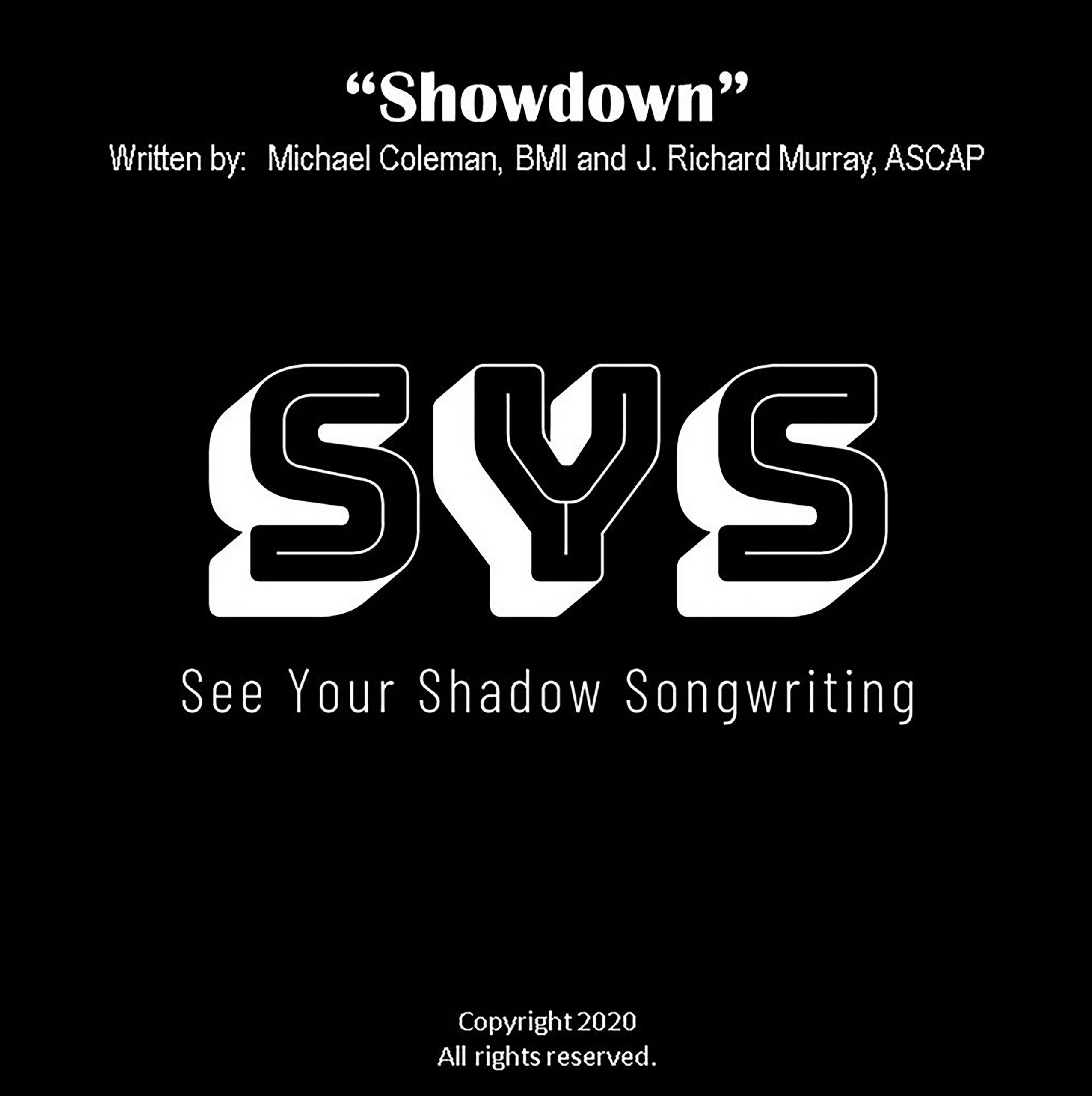 SYS – See Your Shadow